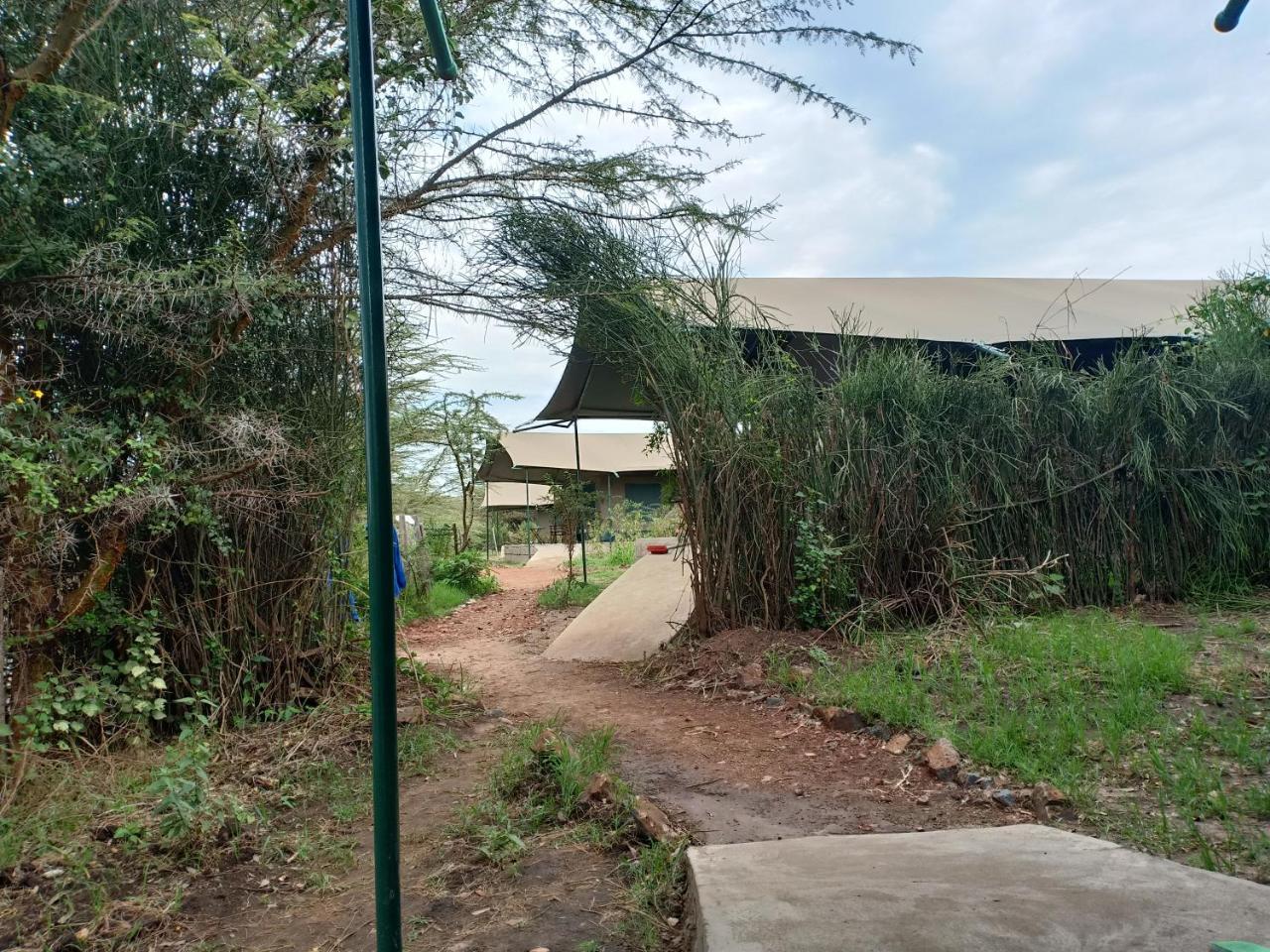 Hotel Mara Duma Bush Camp Talek Esterno foto