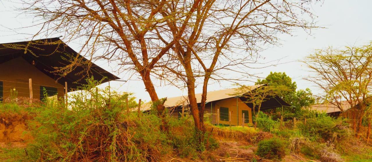 Hotel Mara Duma Bush Camp Talek Esterno foto